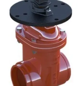 A red fire hydrant with a black cap.