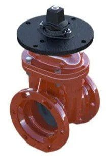 A red valve with black cap and rubber seal.