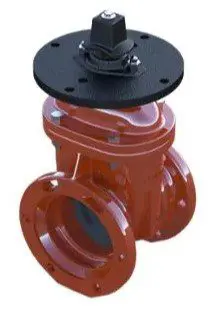 A red valve with black cap and black handle.