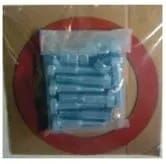 Blue bolts in a plastic bag.